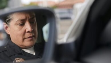 fraud surveillance control authority